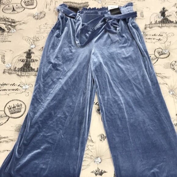 Inc Velvet Wide-Leg Paperbag Pants - Picture 2 of 7